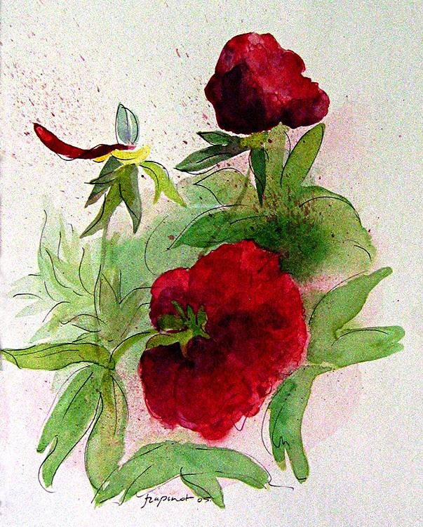 Pivoines 4 1W